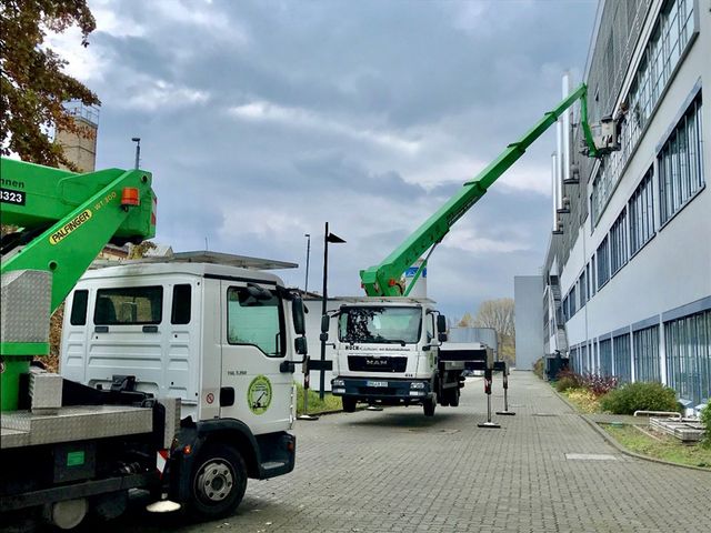 LKW-Arbeitsbühne 30,00 m, LK300 Palfinger, WT300